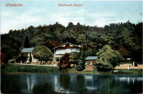 Wiesbaden - Fischzucht Anstalt