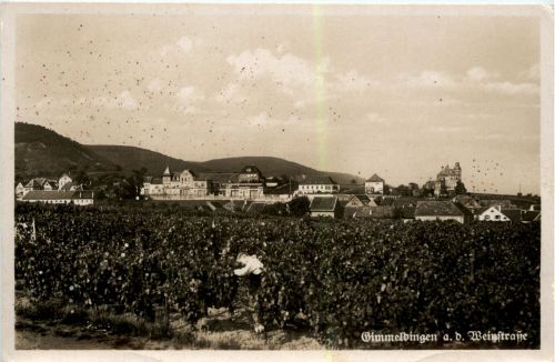Gimmeldingen a d Weinstrasse