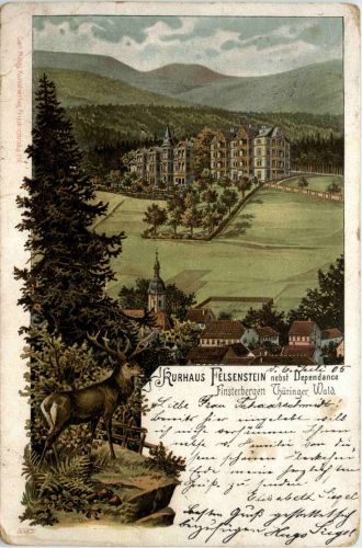 Finsterbergen - Kurhaus Felsenstein - Litho