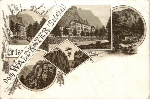 Gruss vom Waldkater bodethal - Litho