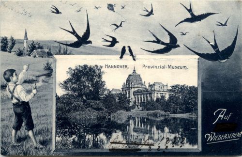 Hannover - Schwalben