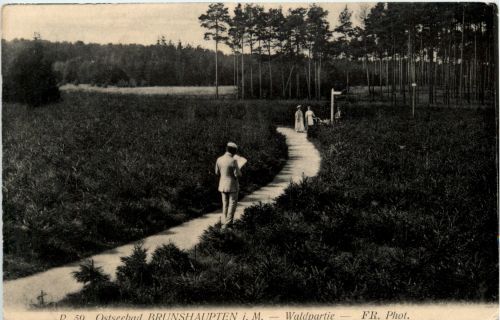 Brunshaupten