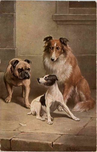 Dogs