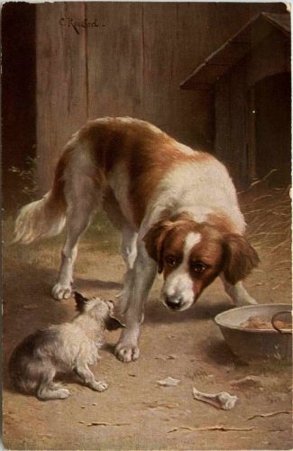 Dogs
