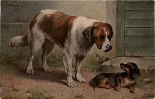 Bernhardiner und Dackel