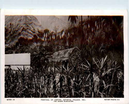 London - Empire Exhibition 1911 - The sugar Plantation