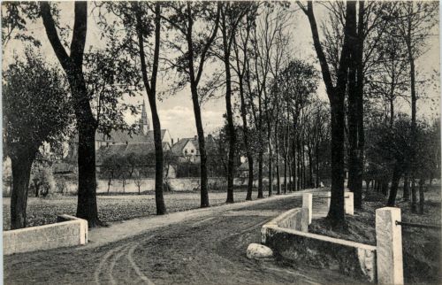 Braunschweig - Allee vor Riddagshausen
