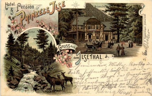 Hotel Pension Prinzess Ilse - Gruss aus dem Ilsethal - Litho