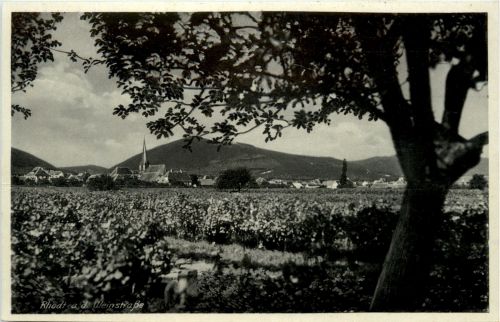 Rhodt an der Weinstrasse