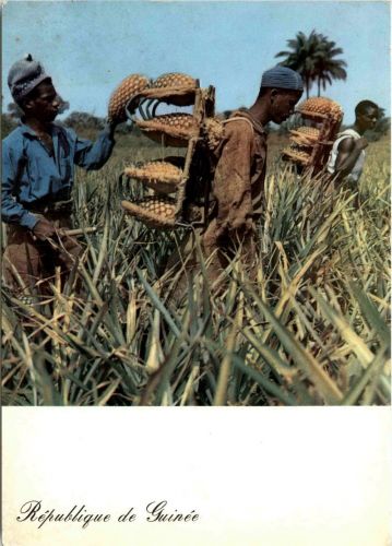 Republique de Guinee