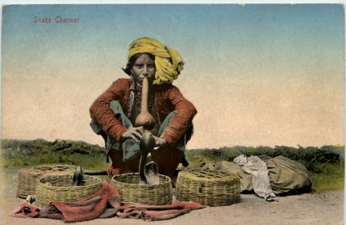 Snake Charmer