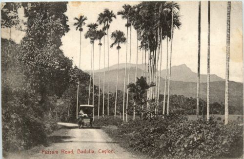 Ceylon - Badulla