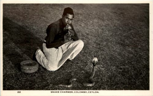 Snake Charmer Colombo
