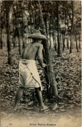 Singapore - Rubber Tapping
