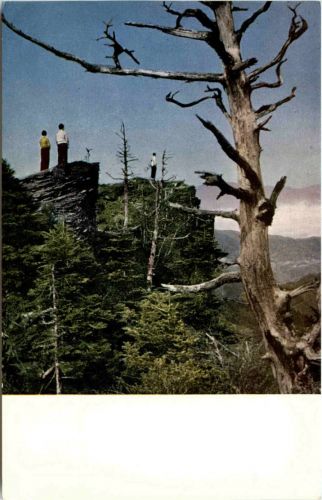 Utsuskushigahara Heights