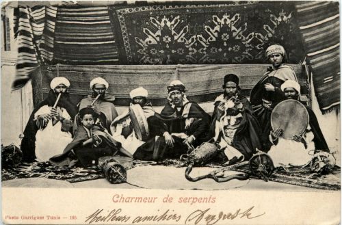 Charmeur de serpents