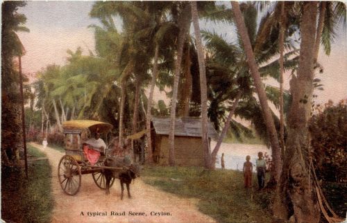 Ceylon - Road scene