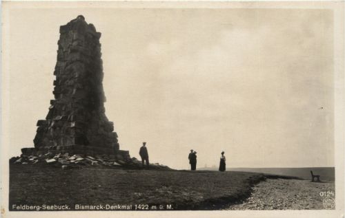 Feldberg Seebuck