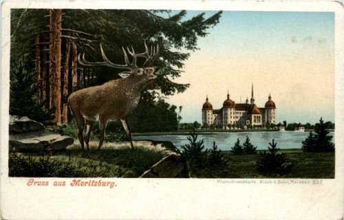 Gruss aus Moritzburg