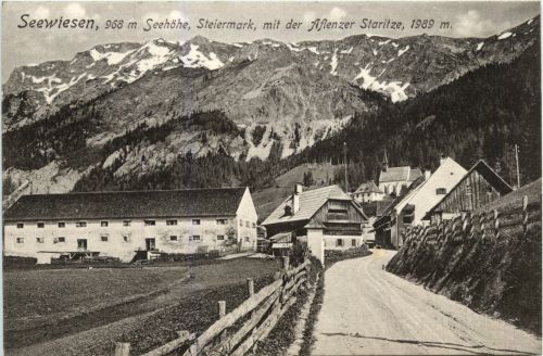 Mürzzuschlag/Steiermark - Seewiesen mit der Aflenzer Staritze