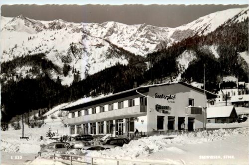 Mürzzuschlag/Steiermark - Seewiesen , Seeberghof Hotel