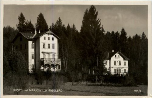 Graz/Steiermark - Tobelbad, Rosen- und Marienvilla