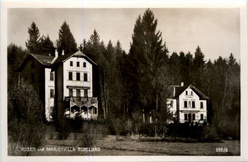 Graz/Steiermark - Tobelbad, Rosen und Marienvilla