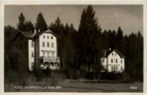 Graz/Steiermark - Tobelbad, Rosen und Marienvilla