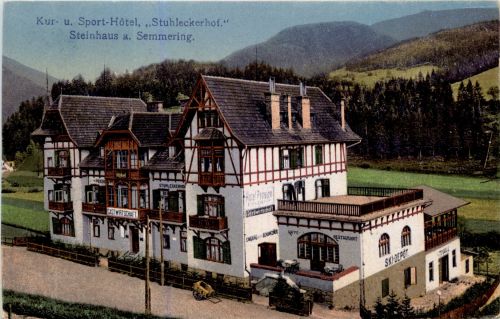 Mürzzuschlag - Kur-und Sport-Hotel Stuhleckerhof - Steinhaus