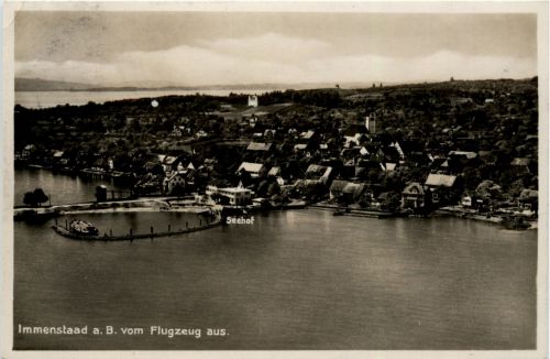 Immenstaad am Bodensee vom Flugzeug aus