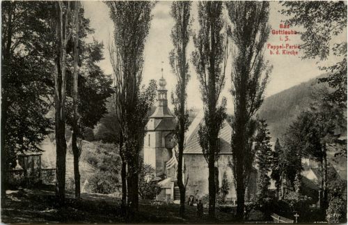 Bad Gottleuba - Pappel Partie bei der Kirche