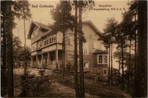 Bad Gottleuba - Berg Hotel