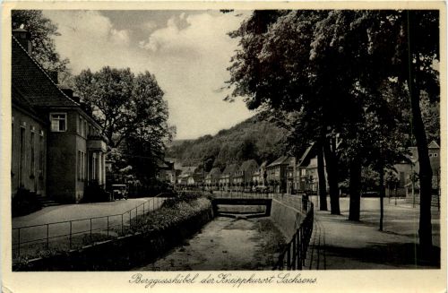 Berggiesshübel