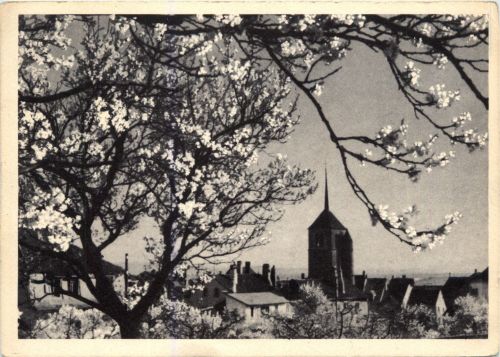 Pesel - Neuchatel