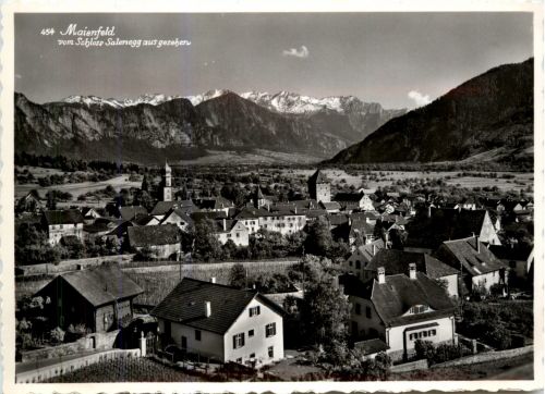 Maienfeld vom Schloss Salenegg