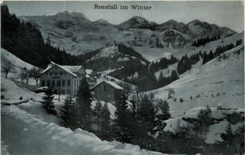 Rossfall im Winter