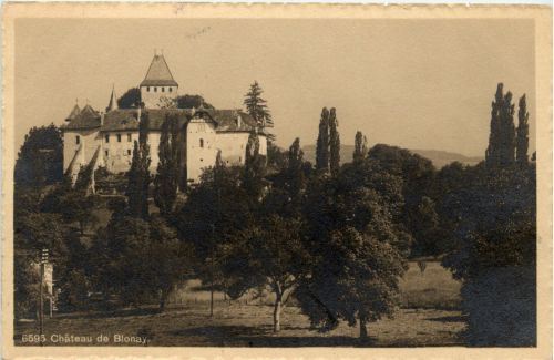 Chateau de Blonay