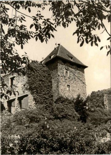 Maienfeld Rheintal