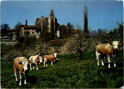 Schloss Wildegg