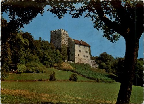 Schloss Habsburg