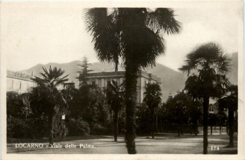 Locarno - Viale delle Palme