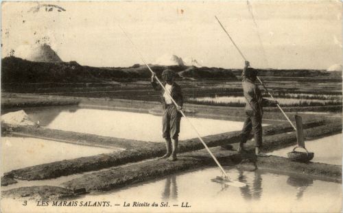 Les Marais Salants - Le Recolte du Sel