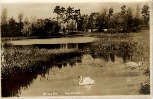 Hermsdorf - Am Waldsee