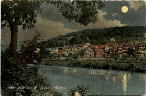 Hann. Münden - Blick auf die Blume