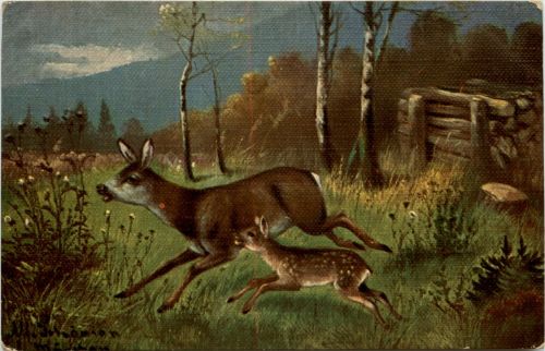 Rehe - Künstlerkarte Schönian