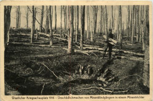 Westlicher Kriegsschauplatz 1916