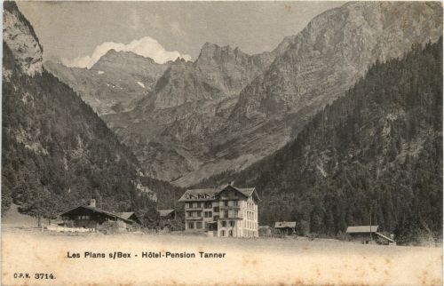 Les Plans sur Bex - Hotel Pension Tanner