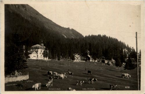 Morgins - Les Hotels