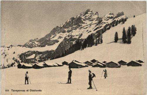 Taveyannaz et Diablerets - Ski