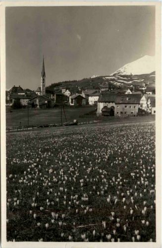 Krocusmotiv bei Zuoz